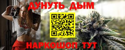 гашик Малгобек