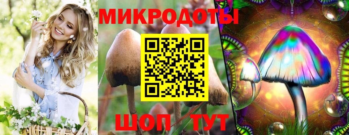 Алапаевск  Галлюциногенные грибы Cubensis  Вход с VPN 